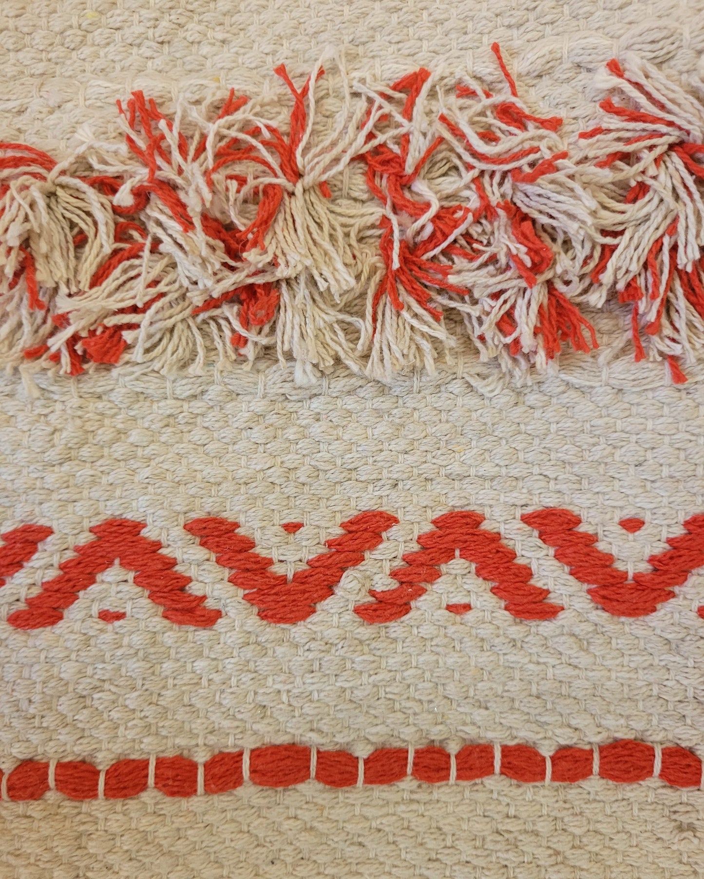 Coral Tribe Fringe Handloom Tote